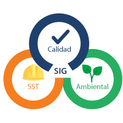 GENERALIDADES Y RESPONSABILIDADES NORMAS SIG